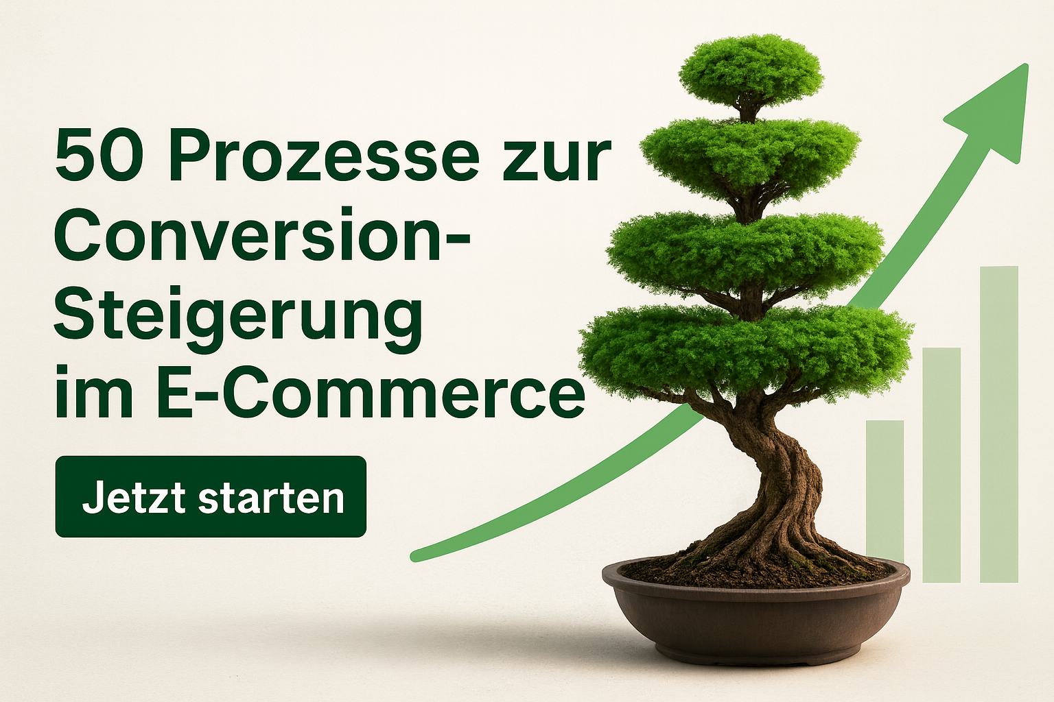 Conversion-Prozesse im E-Commerce